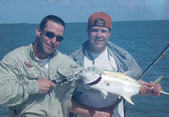 Jack Crevalle on the Key West flats